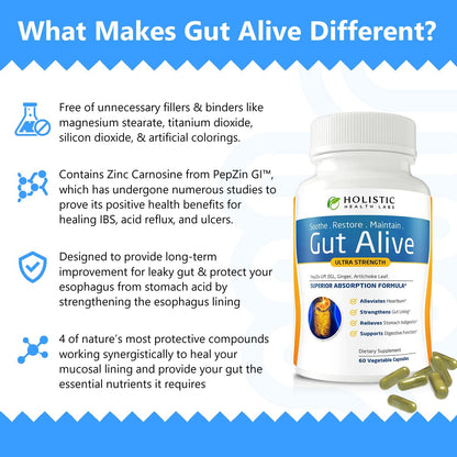 Gut Health Support Supplement for Digestive Comfort, Bloating Relief & Acid Balance | Herbal Digestive Wellness Formula Capsules (60 Count)