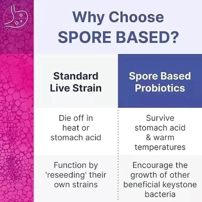 Spore-Based Probiotic Supplement for Gut Health, Digestive Balance & Immune Support | Microbiome Support Capsules (60 Count)