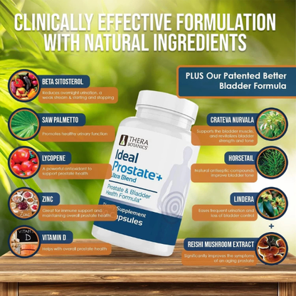 Men’s Prostate Support Supplement with Saw Palmetto for Urinary Health, Flow & Daily Wellness | Herbal Formula Capsules (60 Count)